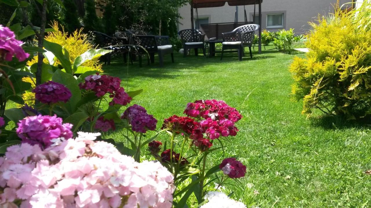 Apartments Medo 콜라신 외부 사진